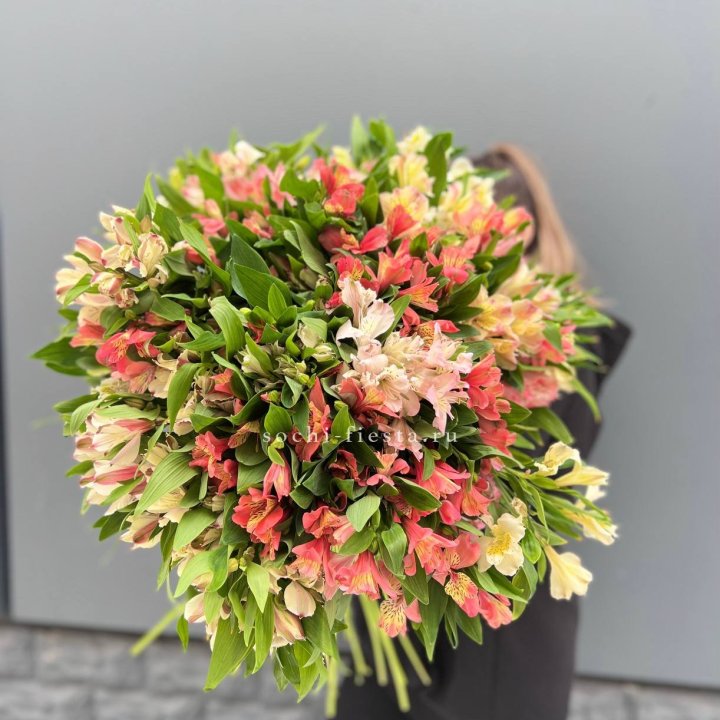 51 альстромерия в Нижнекамске