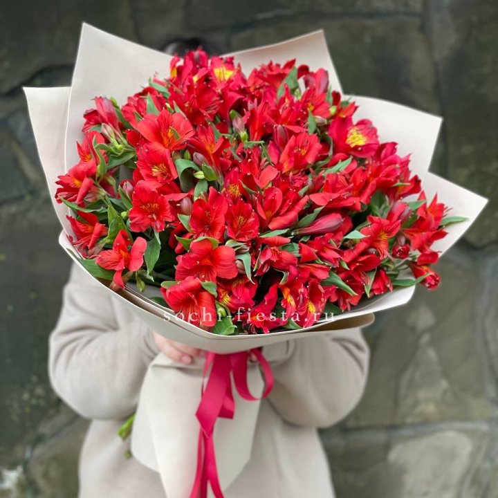51 альстромерия в Нижнекамске