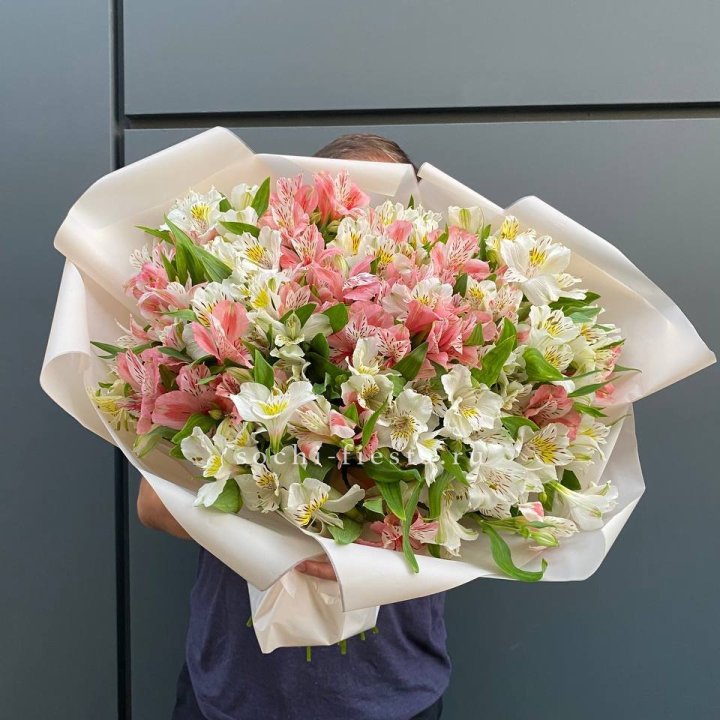 39 альстромерий в Нижнекамске