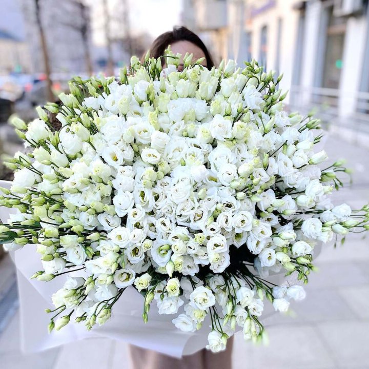 101 белая эустома в Нижнекамске