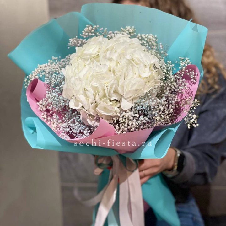 Гортензия "Райдов" в Нижнекамске