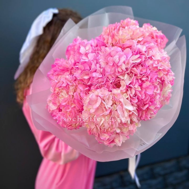 7 ярко розовых гортензий в Нижнекамске