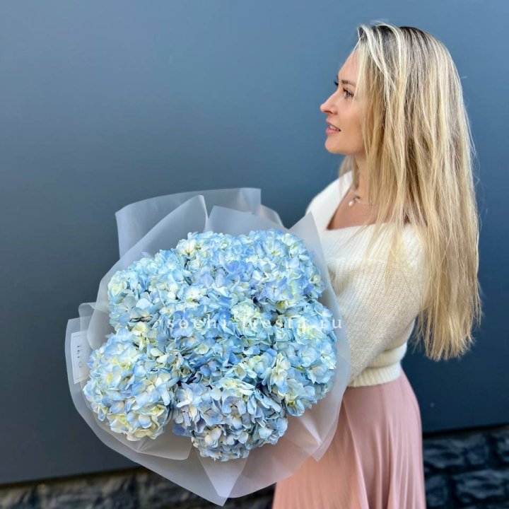7 голубых гортензий в Нижнекамске