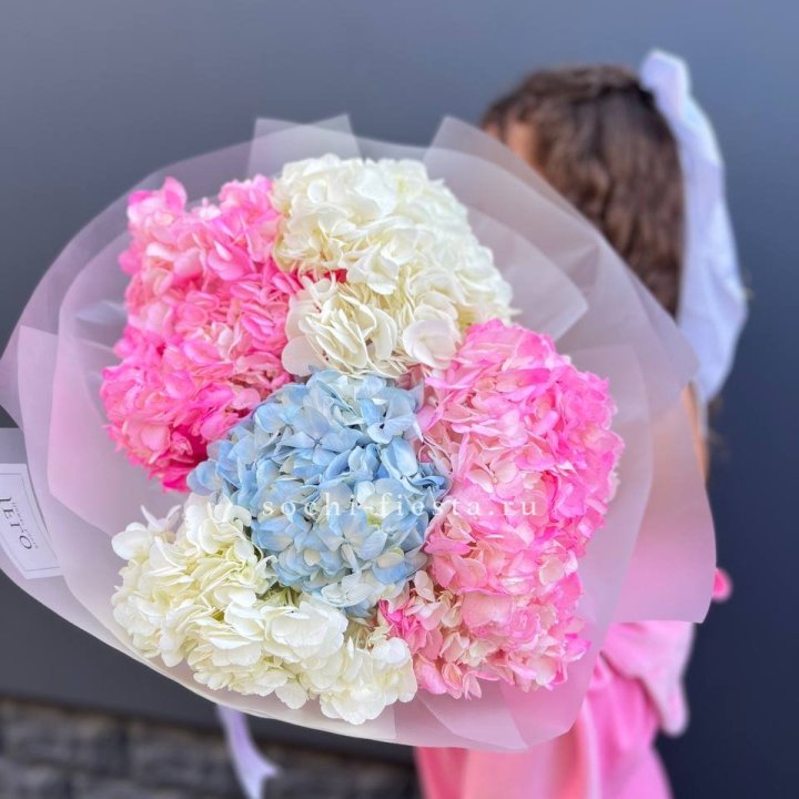 7 гортензий микс в Нижнекамске