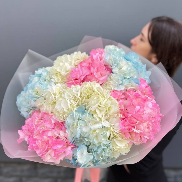 9 гортензий микс в Нижнекамске