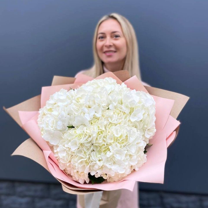 Гортензия белая в Нижнекамске