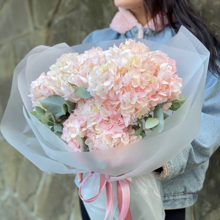 5 розовых гортензий в Нижнекамске