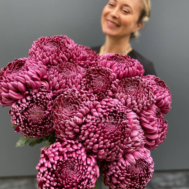 Охапка хризантем Бигуди в Нижнекамске