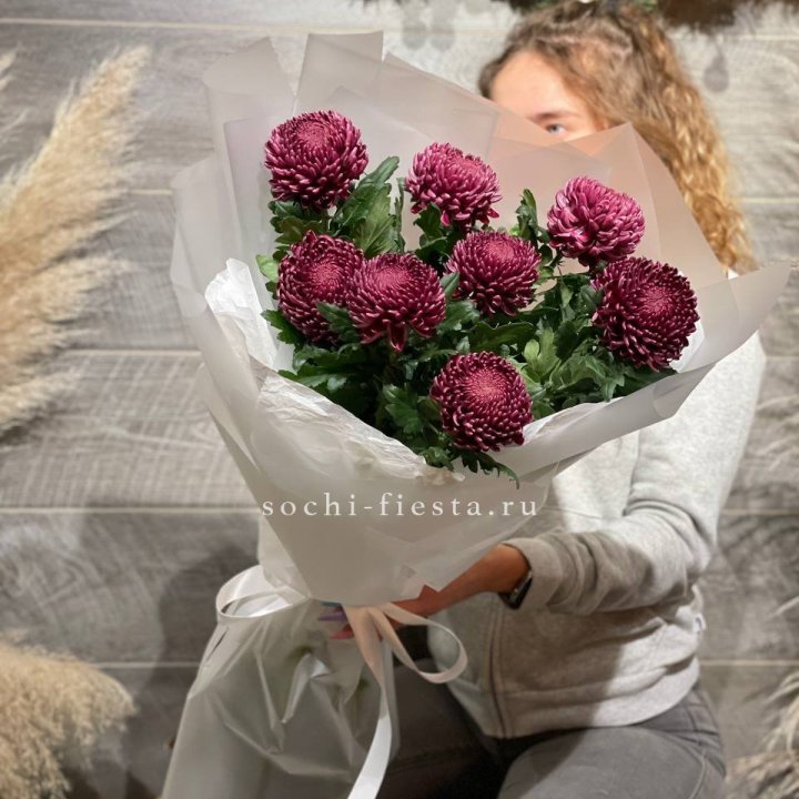 Хризантемы Бигуди в Нижнекамске