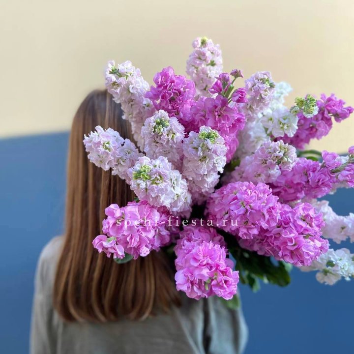 Охапка маттиолы в Нижнекамске