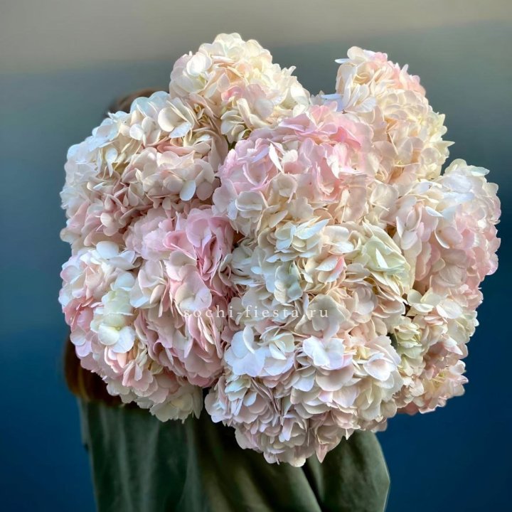 Охапка розовой гортензии в Нижнекамске