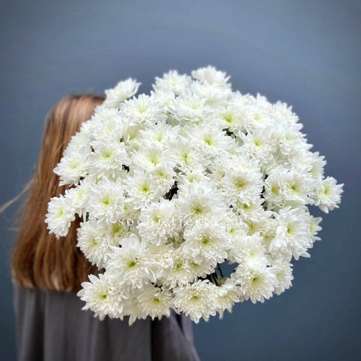 Охапка Хризантемы кустовой в Нижнекамске