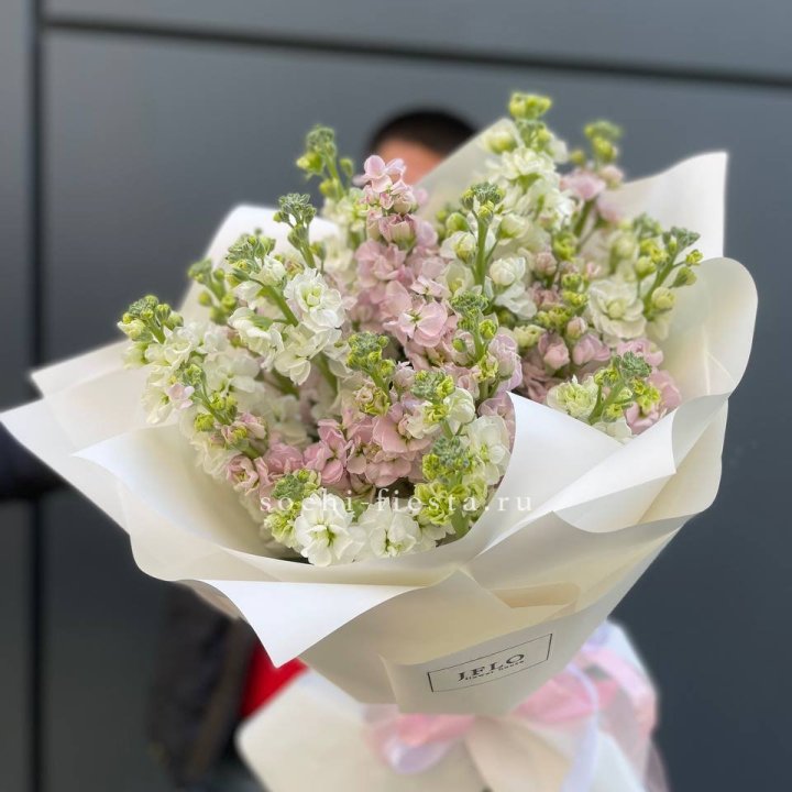 29 маттиол  в Нижнекамске