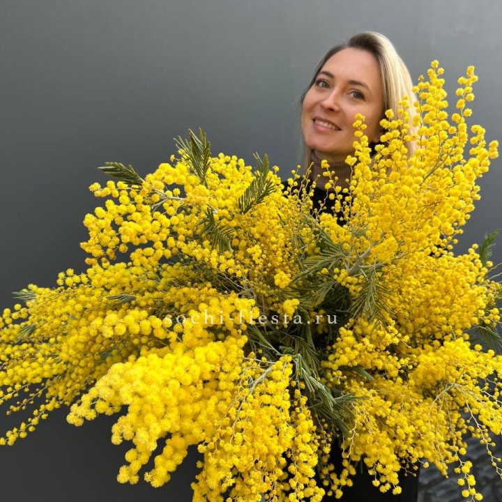 Охапка мимозы №2 в Нижнекамске
