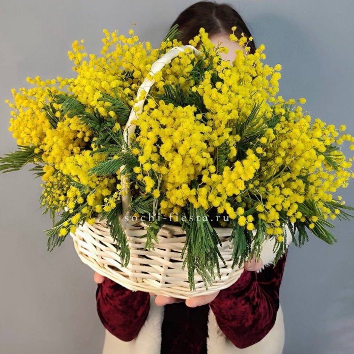 Корзина ароматной мимозы в Нижнекамске