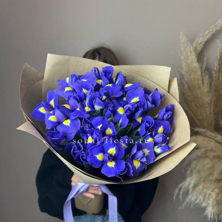 Ирисы в Нижнекамске