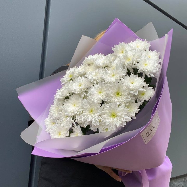  7 хризантем  в Нижнекамске