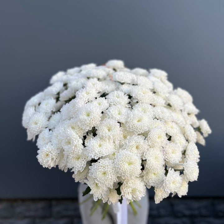  25 хризантем белых в Нижнекамске