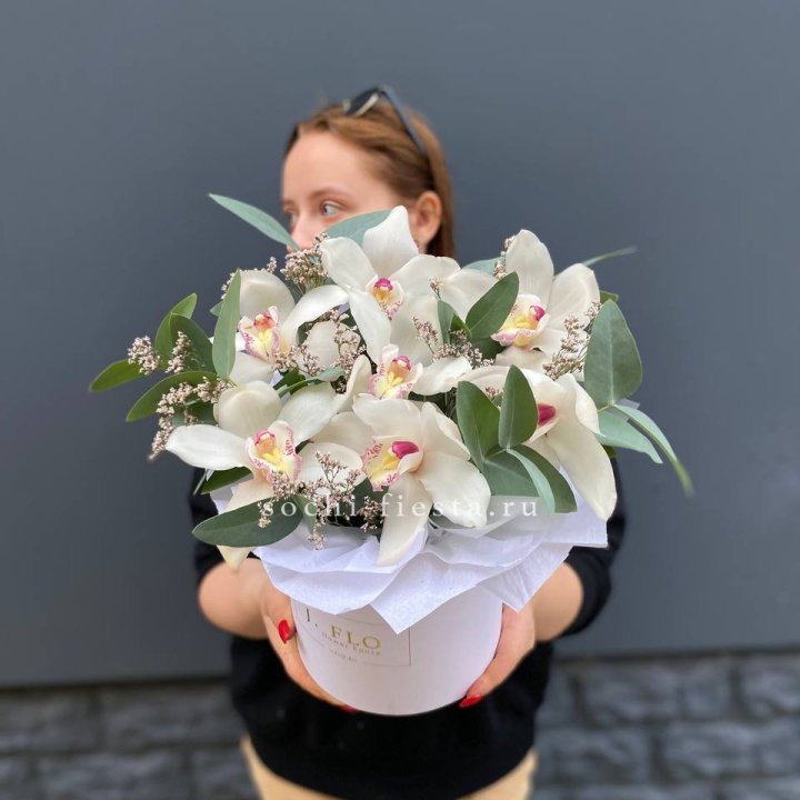 7 орхидей в боксе в Нижнекамске