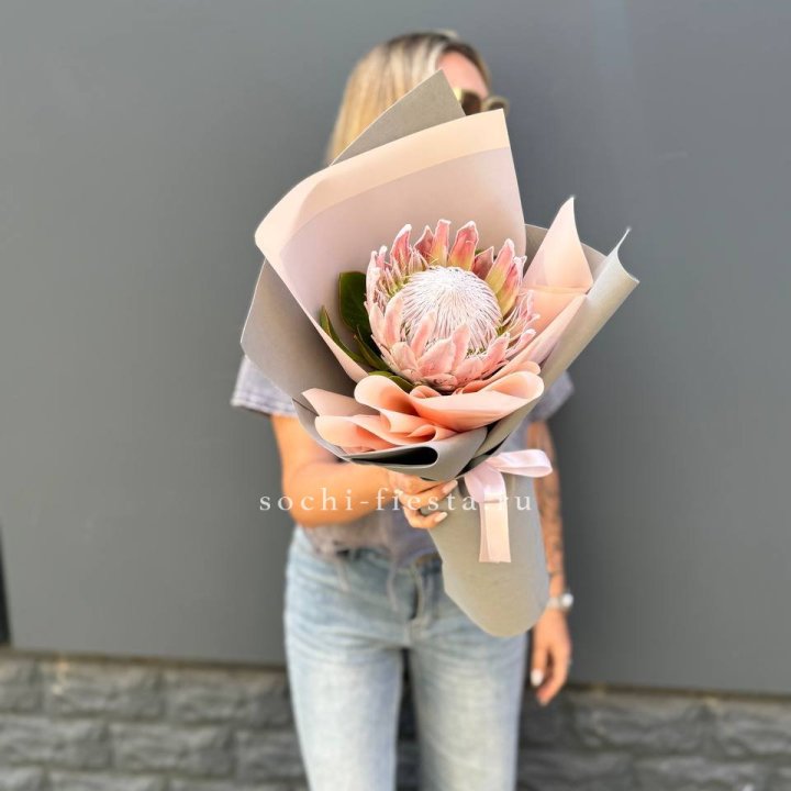 Протея мини  в Нижнекамске