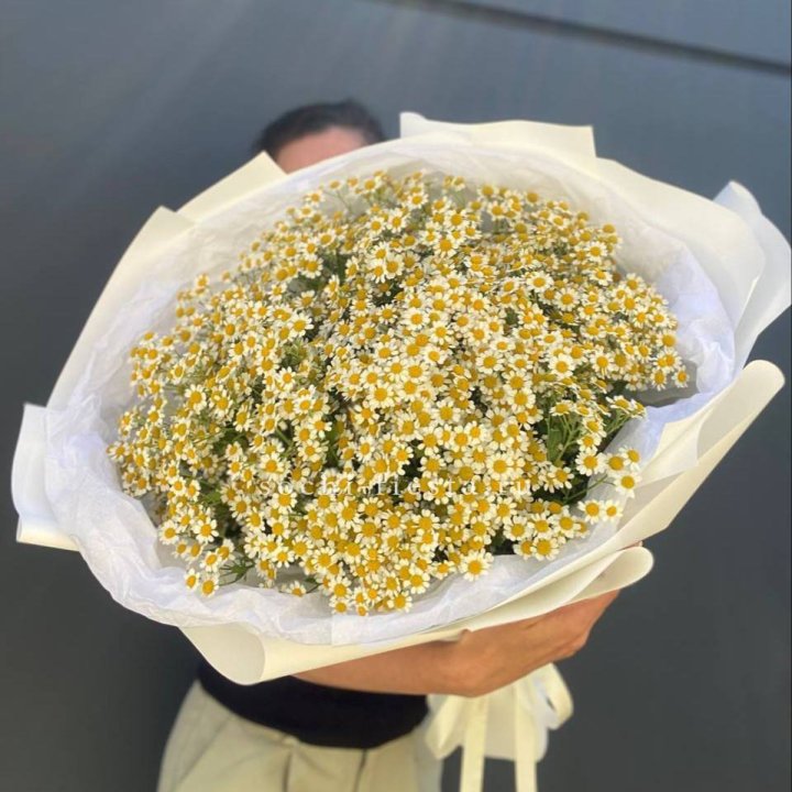 Букет ромашек №2 в Нижнекамске