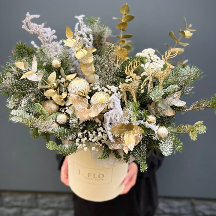 Золотой бокс с нобилисом в Нижнекамске