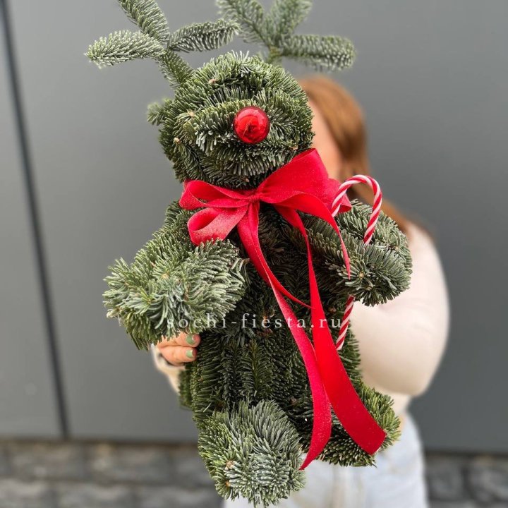 "Олень" из нобилиса в Нижнекамске