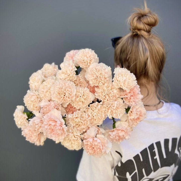 Охапка диантусов  в Нижнекамске