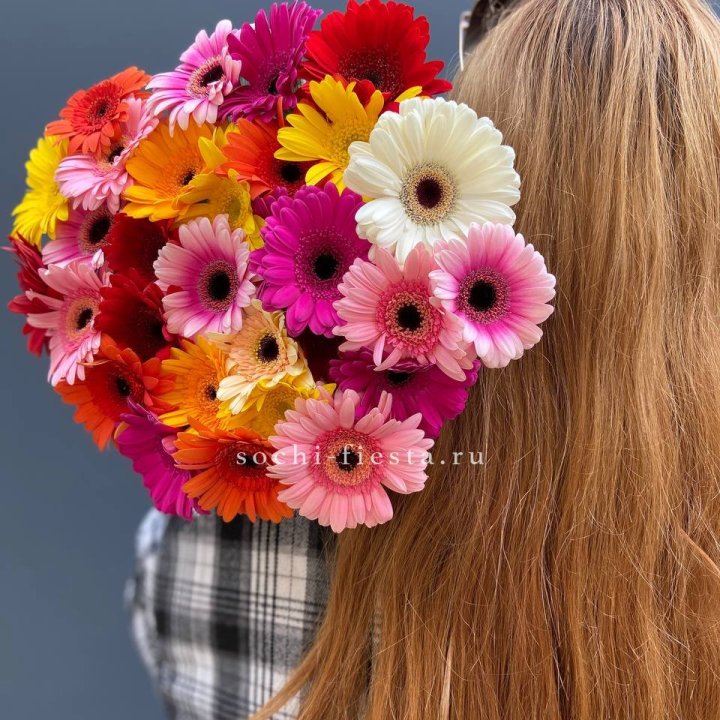 Охапка гербер  в Нижнекамске