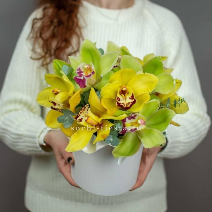 Бокс с орхидей №1 в Нижнекамске