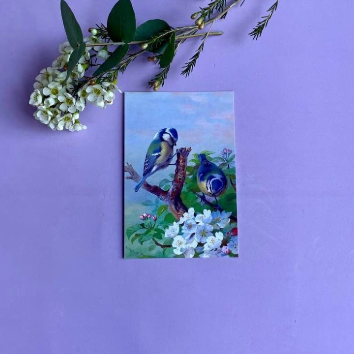 Открытка к букету "Птицы" в Нижнекамске