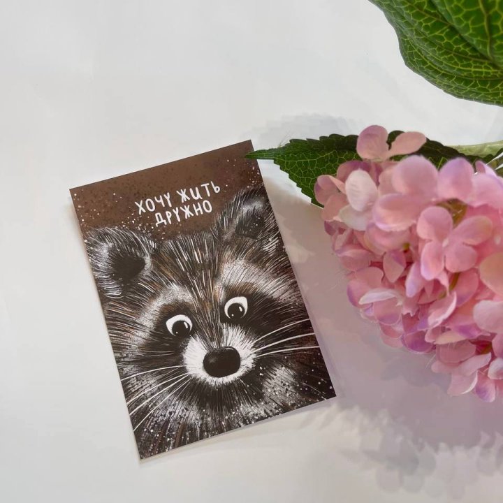 Открытка к букету "Енотик" в Нижнекамске