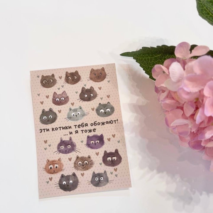Открытка к букету "Котики" в Нижнекамске