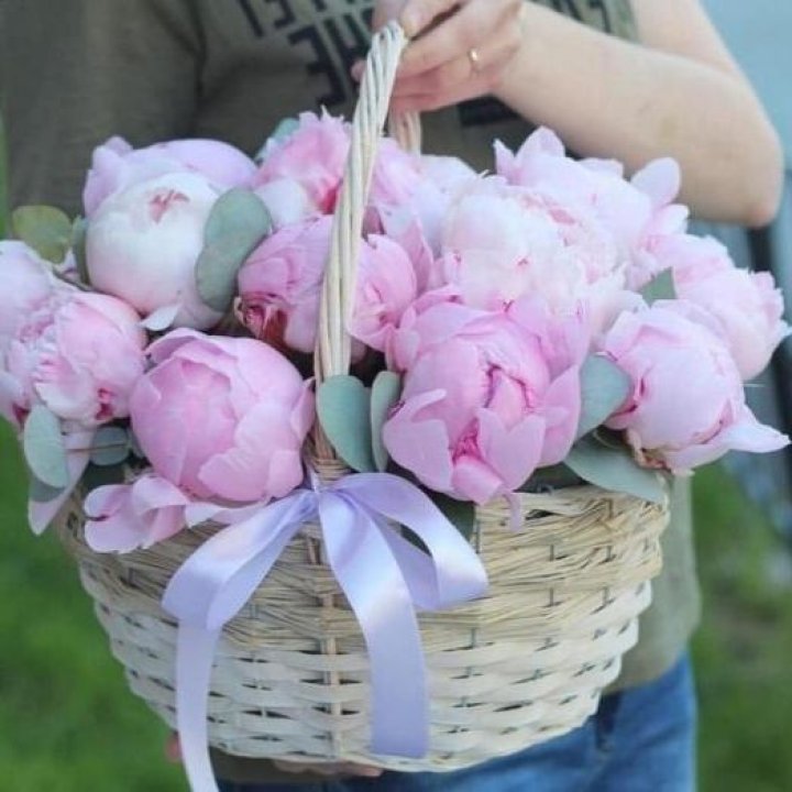 15 пионов в корзине в Нижнекамске