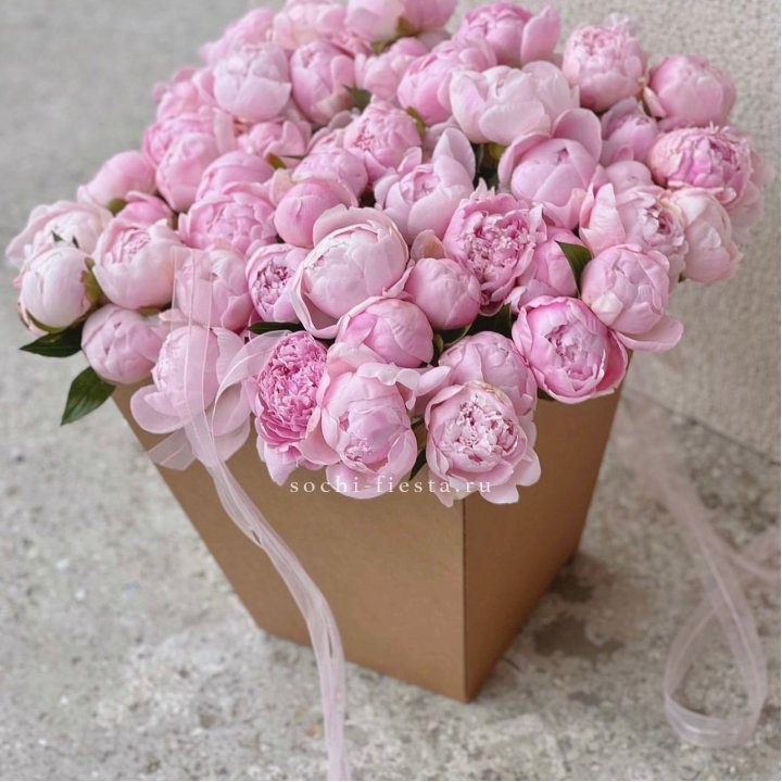 49 пионов в крафт коробке в Нижнекамске