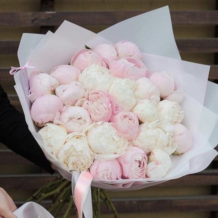 29 пионов в Нижнекамске