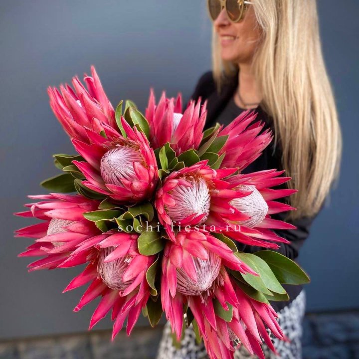 Протея штучно в Нижнекамске