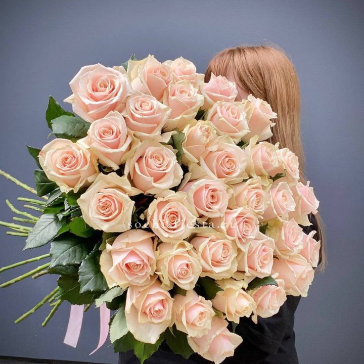 35 кремовых высоких роз в Нижнекамске