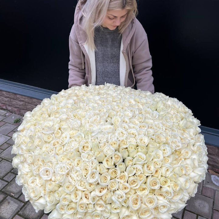 501 белая роза в корзине в Нижнекамске