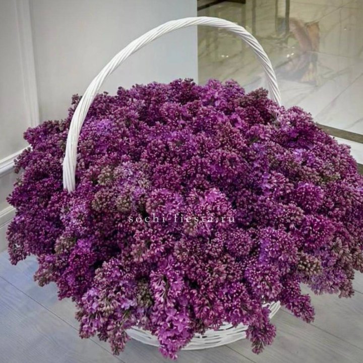 Корзина сирени в Нижнекамске