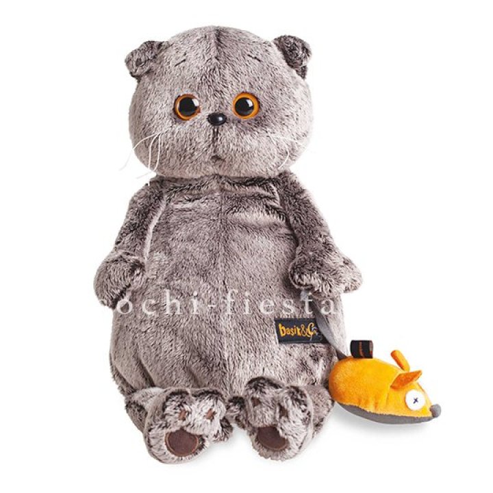 Кот Басик с мышкой в Нижнекамске