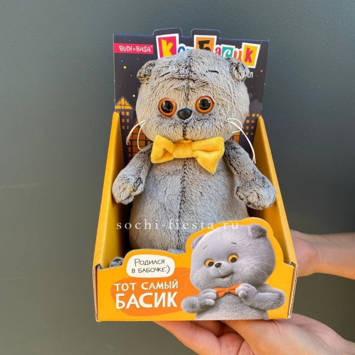 Кот Басик с бабочкой в Нижнекамске