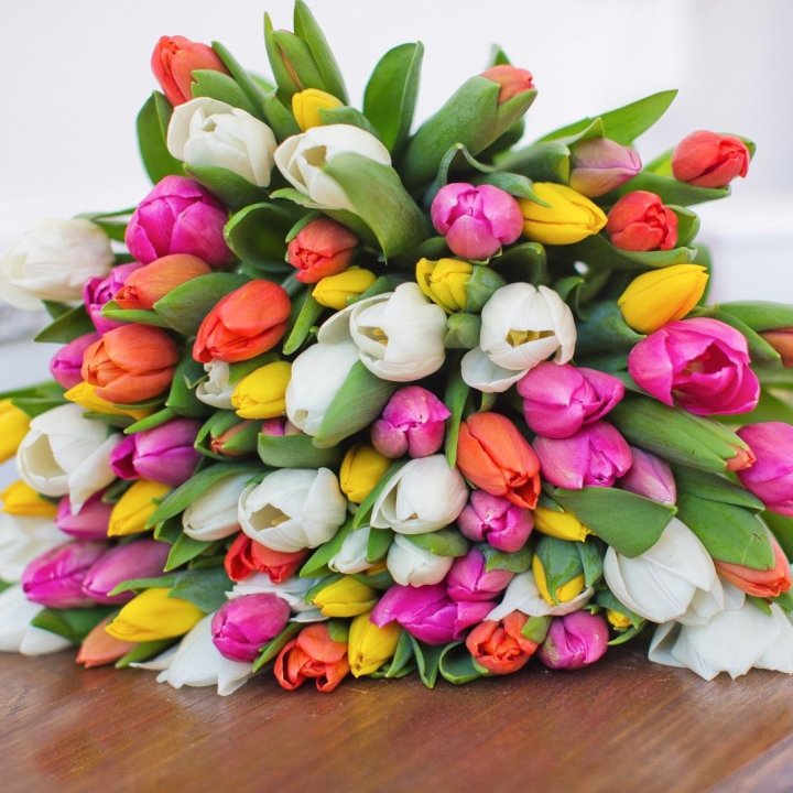 79 тюльпанов "Рандом" в Нижнекамске