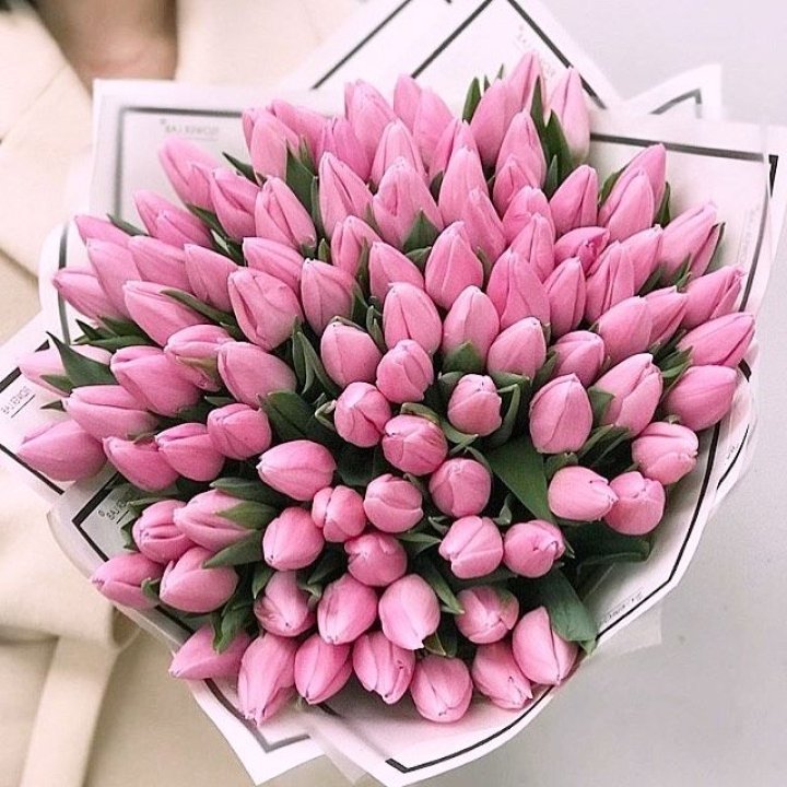 101 розовый тюльпан в белом в Нижнекамске