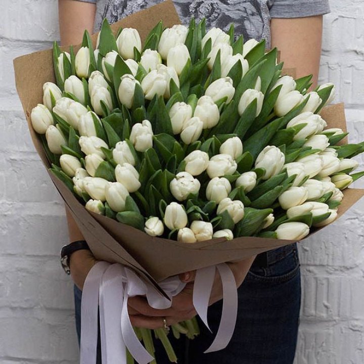 101 тюльпан сноу в Нижнекамске