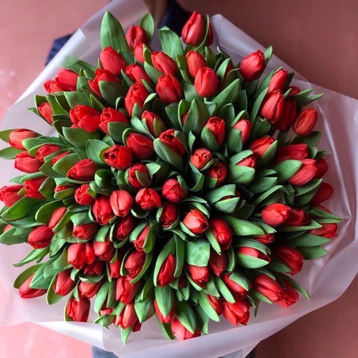 101 красный тюльпан в Нижнекамске